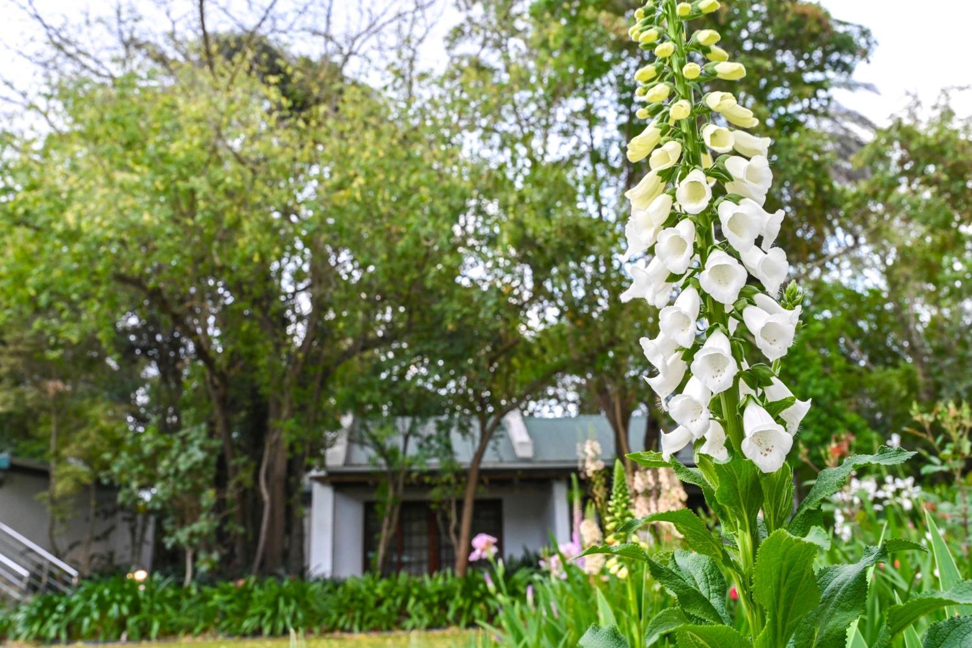 Woodall Country House And Spa Addo Exteriör bild