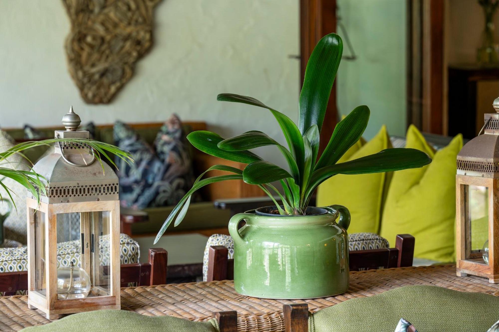 Woodall Country House And Spa Addo Exteriör bild